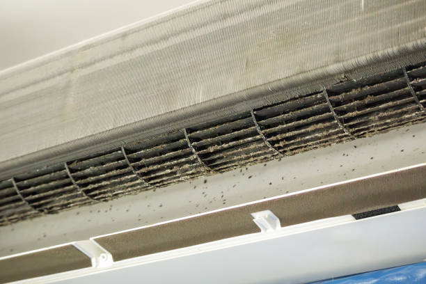 Best Professional Duct Cleaning Services  in Basking Ridge, NJ